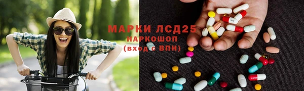 apvp Алексин