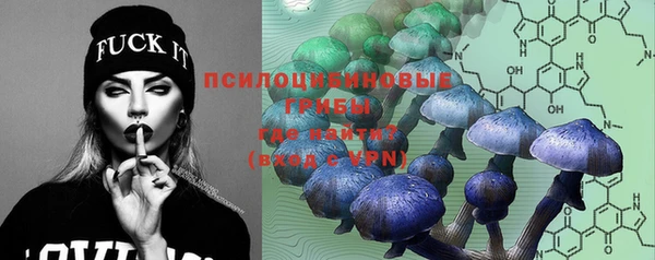 ешки Абдулино