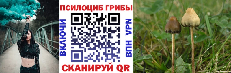 Галлюциногенные грибы Magic Shrooms  Карпинск 